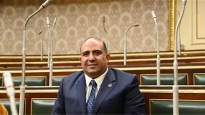 النائب محمد سليم يطالب برفع الحد الأدنى لأجور القطاع الخاص إلى 8000 جنيه