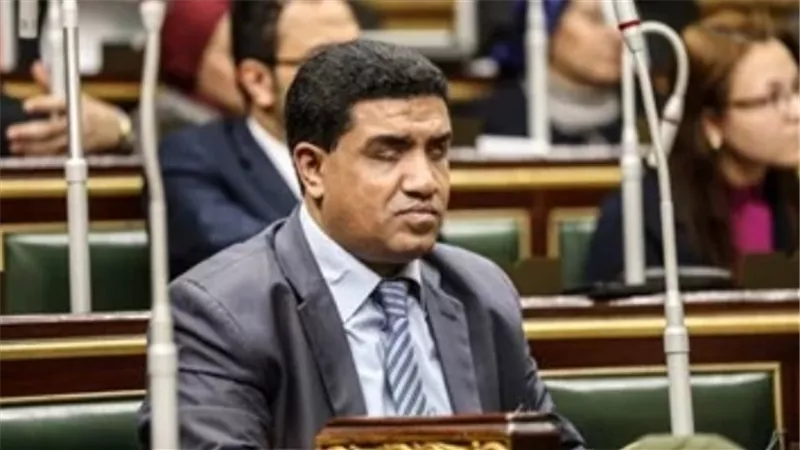 قانوني: رفع سن الحضانة في قانون الأحوال الشخصية لـ 18 عامًا يضر بمصلحة الطفل