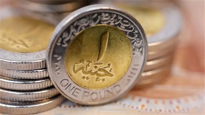 تفاصيل خطة طرح عملة الـ 2 جنيه وموقف «الفكة» في الأسواق.. فيديو