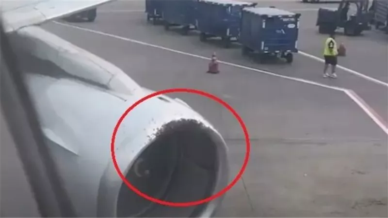 حادث غريب.. رحلة أمريكية تتأخر بعد تسلل سرب نحل إلى محرك الطائرة