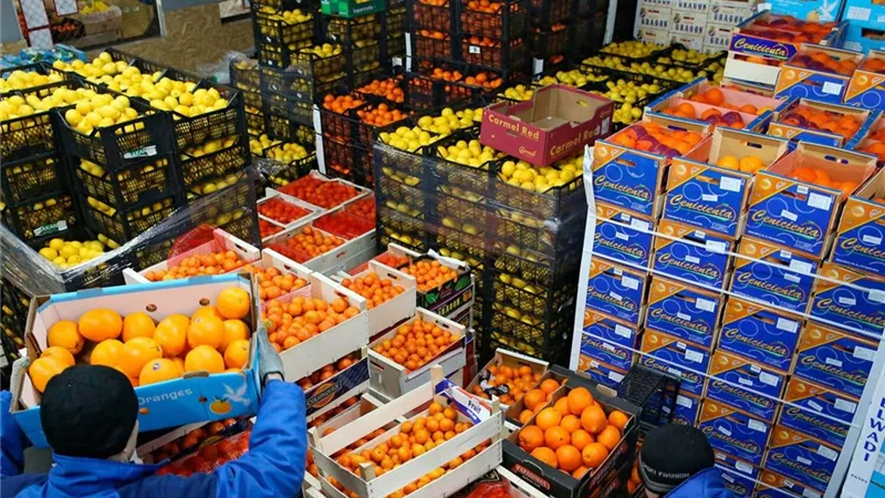 الصادرات الغذائية المصرية تواجه اشتراطات 