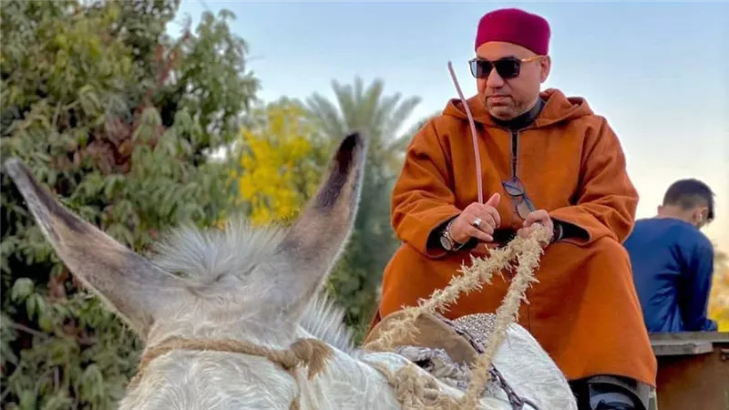 «كن حمارا تكسب».. أزهري يثير الجدل بحديثه عن ذكاء الحيوان