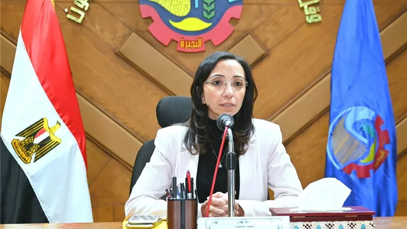 محافظ البحيرة: ترشيد الكهرباء وتعزيز النظافة ضمن أولويات المحافظة