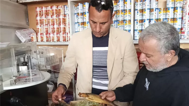 ضبط كميات من اللحوم والأسماك المملحة غير الصالحة للاستهلاك الآدمي