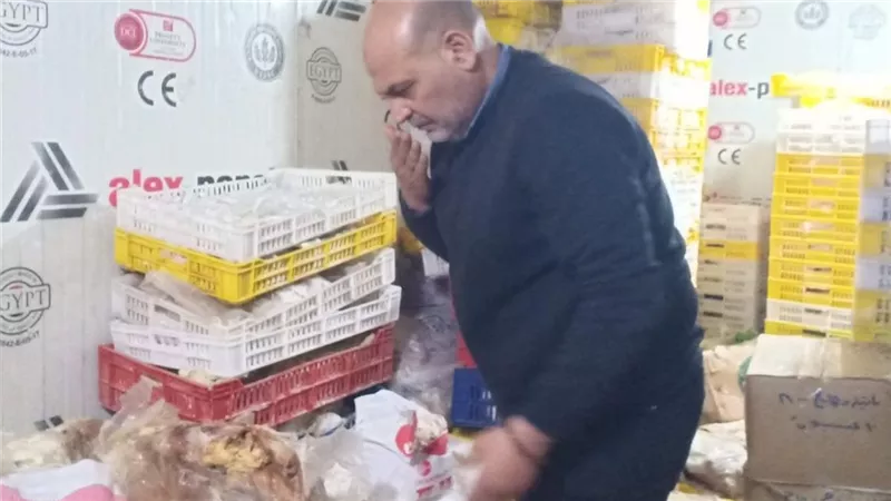 تموين القليوبية يشن حملات مكبرة تزامنا مع احتفالات عيد القيامة وشم النسيم