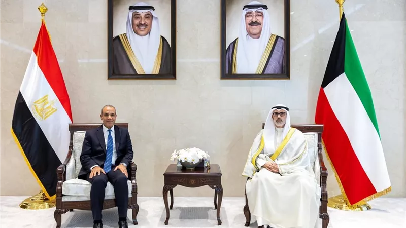وزير الخارجية يؤكد تضامن مصر الكامل مع دولة الكويت 