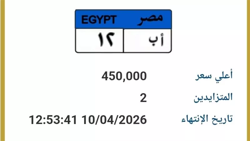 سعرها وصل لـ 450 ألف جنيه.. لوحة 
