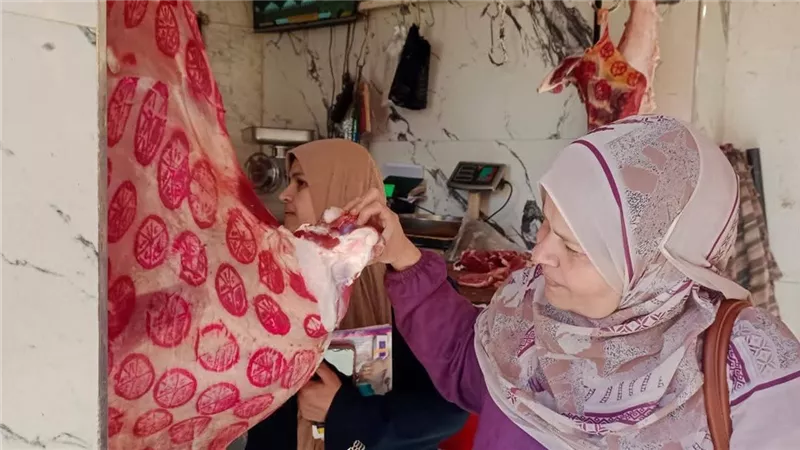 تحرير ١١ محضرًا وضبط ٣٠٠ كجم أسماك مملحة مجهولة البيانات بشبين القناطر