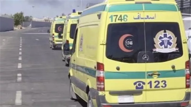 ضربه بآلة حادة.. إصابة شخص بجروح متفرقة بالرأس إثر مشاجرة بالدقهلية 