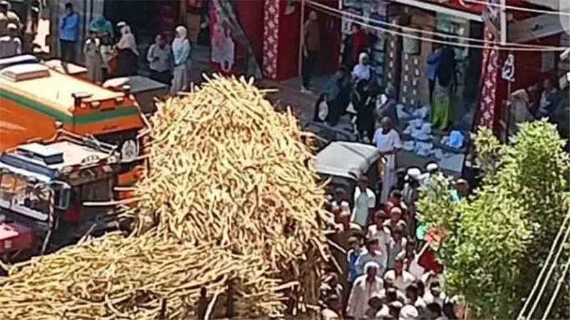 حادث مأساوي بكوم أمبو.. مصرع سيدة دهسًا بقطار القصب الديكوفيل بقرية الإسماعيلي