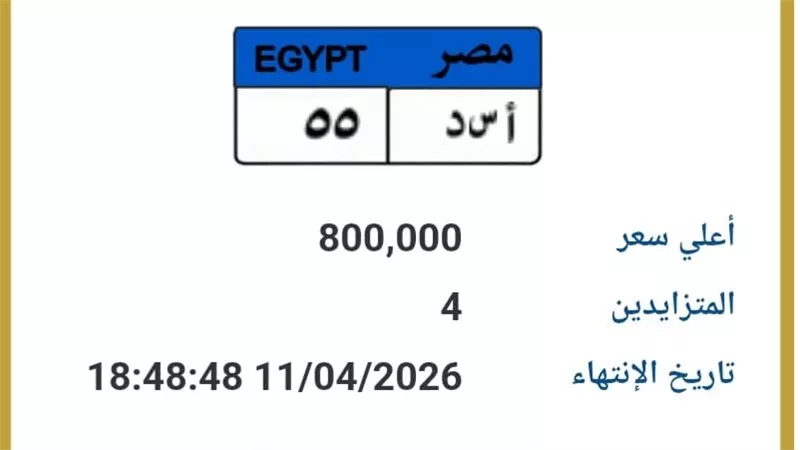 «أ س د55» تصل لـ800 ألف جنيه.. والمنافسة تشتع بين 4 أشخاص