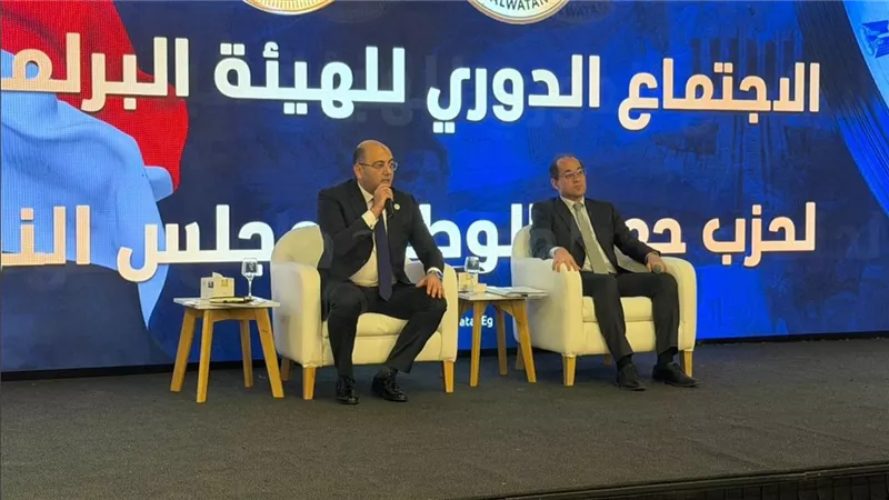 رئيس برلمانية حماة الوطن يطالب المالية بتخفيف الأعباء ودعم الأكثر احتياجا