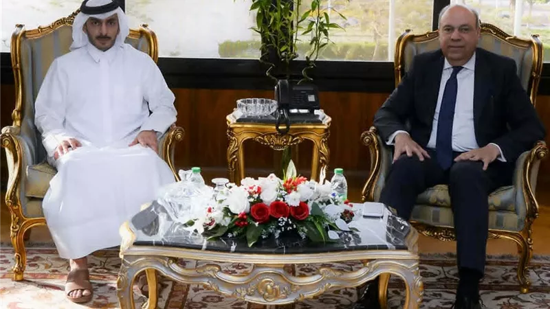 وزير الطيران يبحث مع وفد قطري إنشاء مصنع وقود طائرات مستدام في مصر