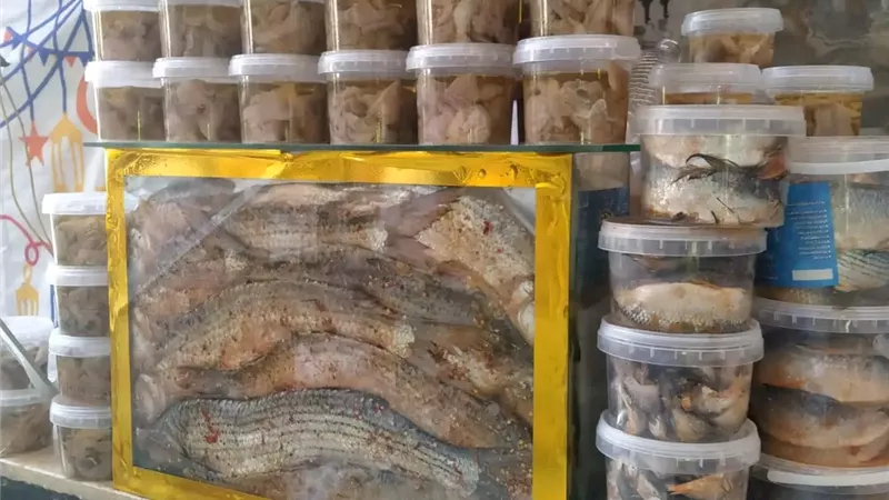 طوارئ في أسوان قبل شم النسيم.. 20 حملة تفتيشية تضبط مخالفات غذائية كبرى 