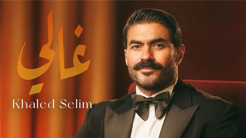 خالد سليم يتألق في لوس أنجلوس.. ويعلن جولة حفلات بأمريكا 