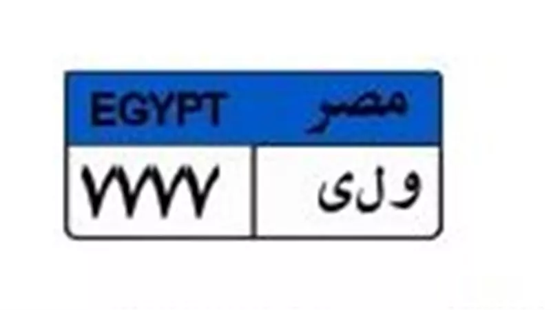 قبل غلق المزاد غدا.. سعر لوحة السيارة «و ل ى 7777» يتخطى نصف مليون جنيه