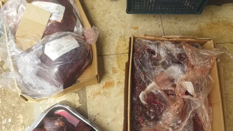 محافظ أسيوط: تحرير 2769 محضرا تموينيا خلال شهر بحملات مكثفة على الأسواق والمخابز