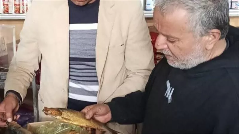 حملات تموينية مكثفة على محلات الأسماك والفسيخ والرنجة بالبحيرة
