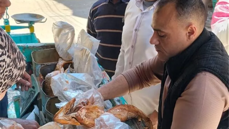 محافظ أسيوط: ضبط 850 كجم أسماك مملحة فاسدة خلال حملة بـ 5 مراكز