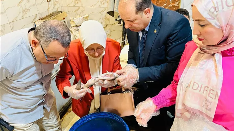 قبل شم النسيم.. الزراعة تضبط 71 طن أسماك فاسدة وتحرر 177 محضرًا ضد المخالفين
