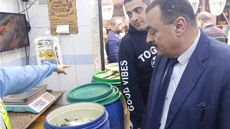 قبل شم النسيم.. حملات على محال الفسيخ والرنجة وضبط مخالفات جسيمة بدمياط