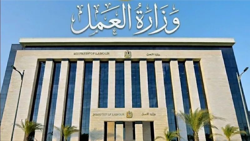  لتعزيز بيئة العمل.. وزارة العمل: تفتيش 59 ألف منشأة و743 ألف عامل خلال 3 أشهر