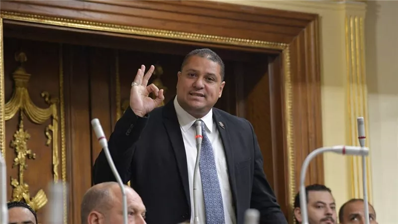 برلماني: الطبقة الوسطى هي العمود الفقري للاقتصاد الوطني ويجب حمايتها