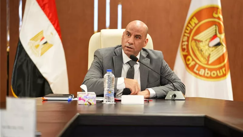 382 مليون جنيه لدعم التدريب والتأهيل.. 