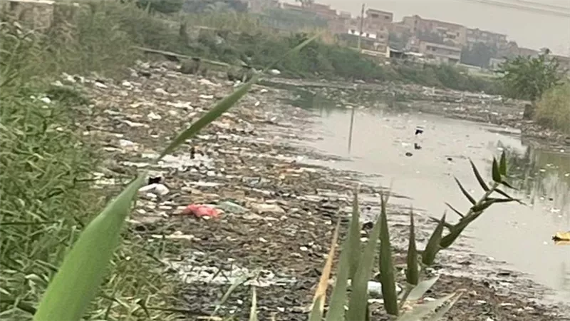 كارثة صحية في القليوبية.. تلوث ترعة الشرقاوية يهدد مياه الشرب بشبين القناطر