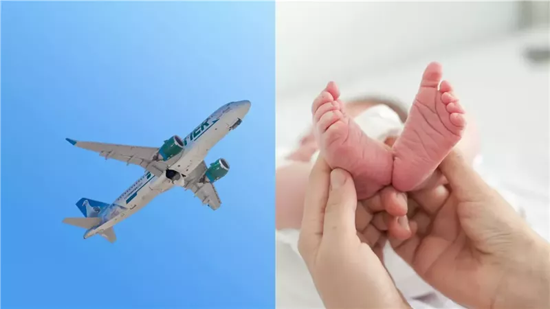 هل سيحصل على رحلات طيران مجانية؟ ما يحدث عند ولادة طفل على الطائرة