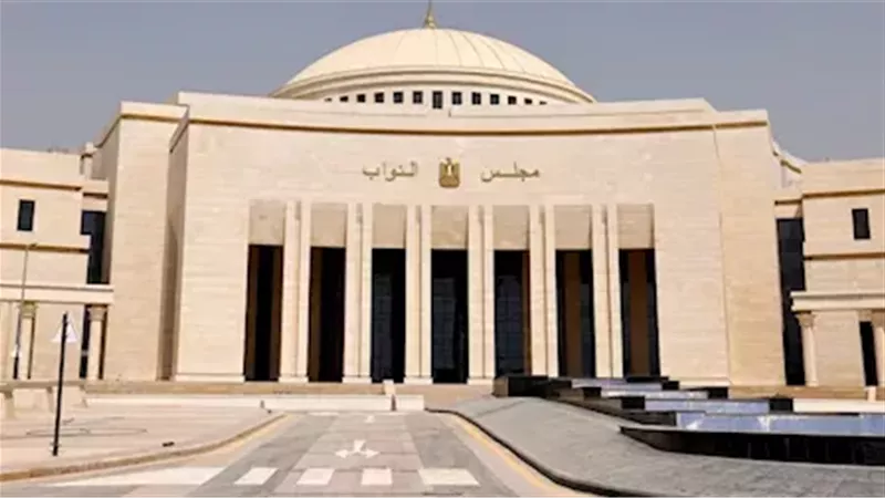 برلماني يقدم مقترح فترة انتقالية 3 أشهر لبطاقات التموين قيد المراجعة 