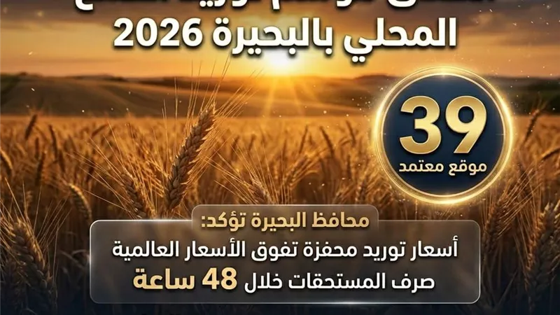 البحيرة ترفع الاستعداد القصوى لموسم القمح وتؤمن مواقع التوريد