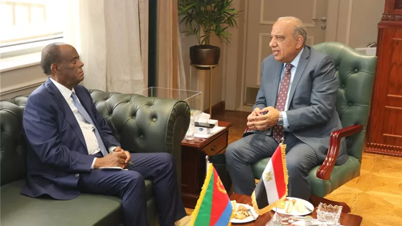 مصر وإريتريا تبحثان تعزيز التعاون في الكهرباء والطاقة المتجددة