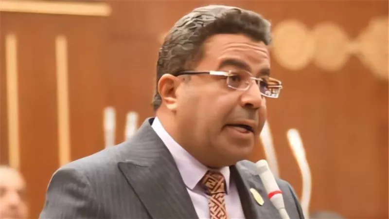 النائب باسل عادل