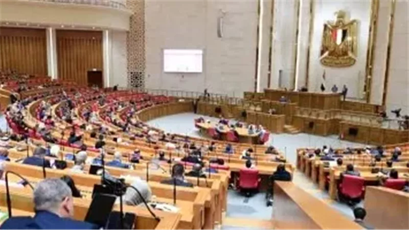 تشريعات جديدة ورقابة مكثفة.. البرلمان يضع ملف ذوي الهمم على رأس أولوياته