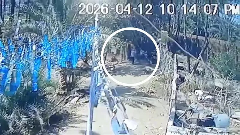 بسبب خلافات سابقة.. عم يعتدي بآلة حادة على نجل شقيقه في شبين القناطر