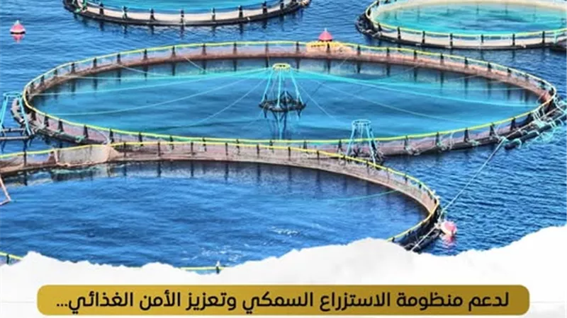 إنتاج 71 طنًا من الأسماك بمزرعتي المنزلة والبرسيق السمكية لتعزيز الأمن الغذائي