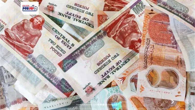 منها أسرة المجند.. 5 فئات تستحق صرف الدعم النقدي المشروط 
