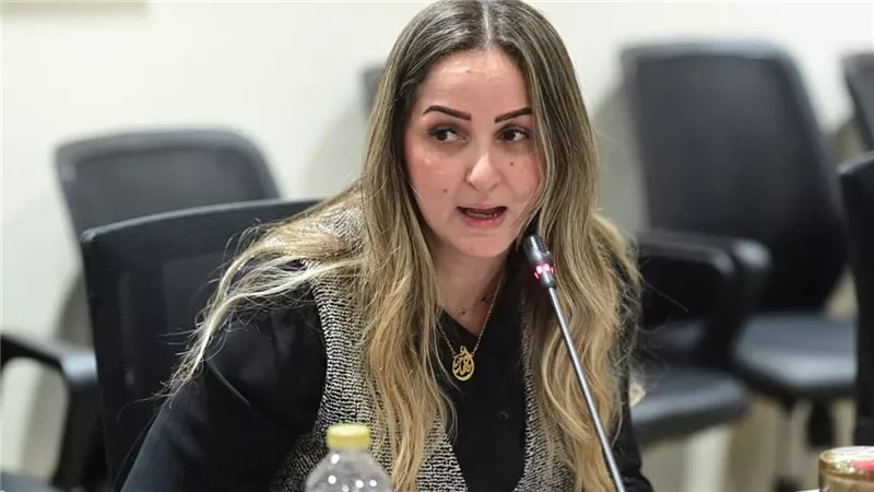 مناقشةطلب إحاطة للنائبة لبني عبد العزيز بشأن مواجهة الشائعات..بحضور ضياء رشوان