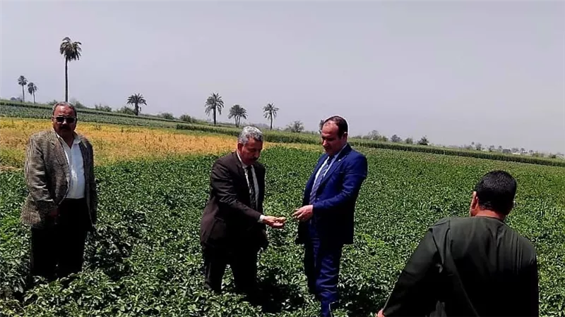  الزراعة: إحالة عدد من المسؤولين الزراعيين في المنيا وقنا للنيابة العامة
