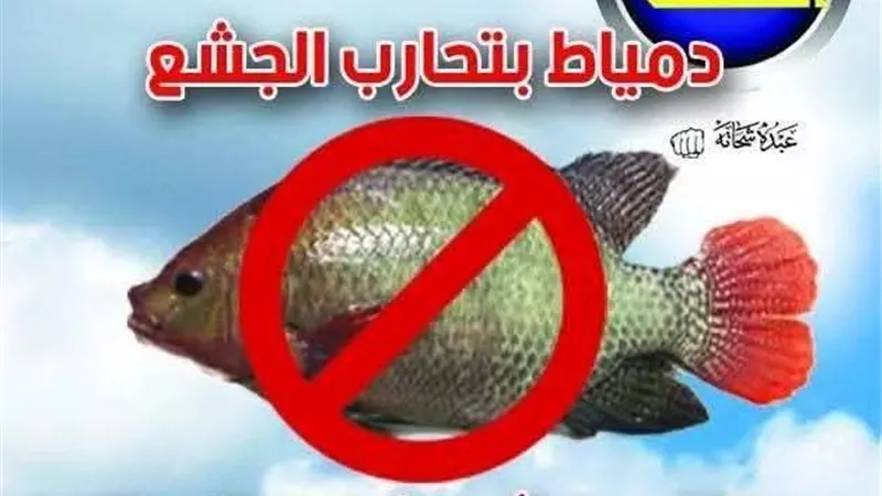 لمقاومة جشع التجار.. حملة مقاطعة الشبار والسردين تتصاعد في دمياط لارتفاع الأسعار