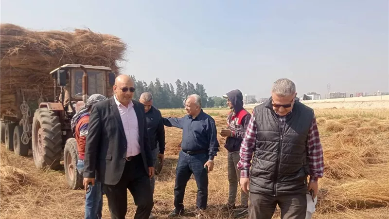 توجيهات بتسهيل توريد القمح ورفع جاهزية الجمعيات الزراعية بالغربية