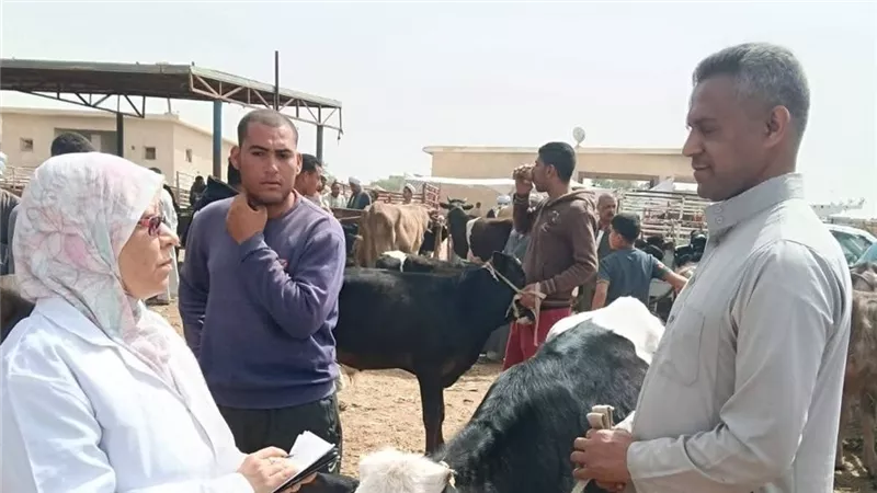متابعة بيطرية بسوق الماشية بقرية الألبان الجديدة بالسويس وتحصين الحيوانات