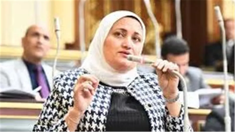 سناء سعيد: قرار توحيد سعر شريحة العدادات الكودية سيطبق بأثر رجعي