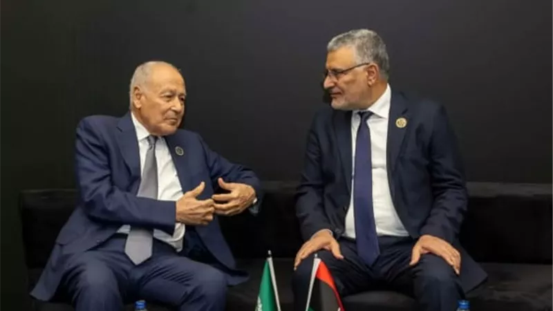 أبو الغيط: حل الأزمة الليبية لن يكون إلا بقيادة وطنية