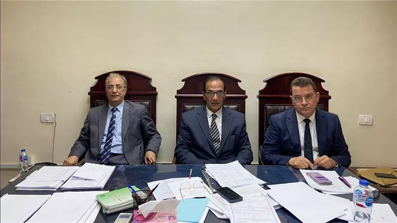 تأييد المؤبد لاثنين وتخفيف العقوبة لـ4 متهمين باستعراض القوة في المطرية