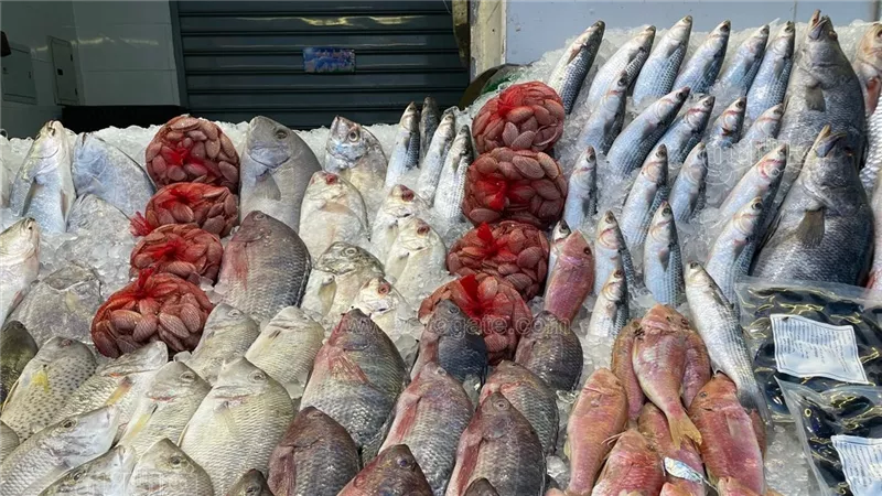 مفاجآت في أسعار السمك اليوم.. انخفاض البلطي وارتفاع الكابوريا والجمبري