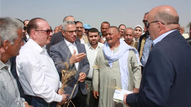 محافظ بني سويف يفتتح موسم حصاد القمح ويوجه رسائل للمزارعين