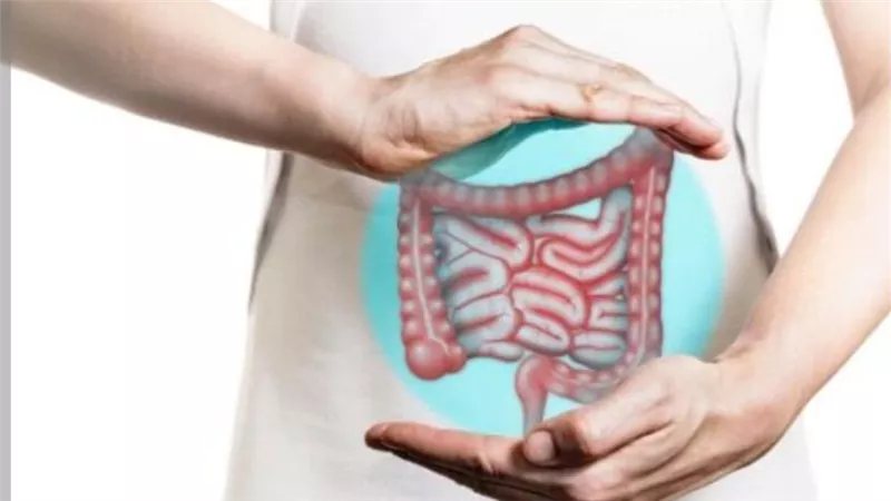     القولون العصبي مش مرض واحد… 3 أنواع مختلفة وكل نوع له أعراضه