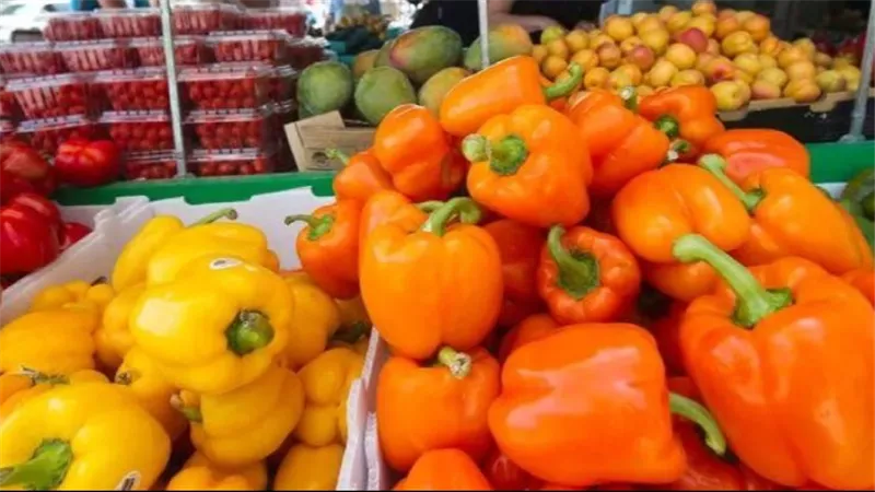     الأحمر أم الأصفر أم الأخضر؟ أفضل لون فلفل لدعم المناعة